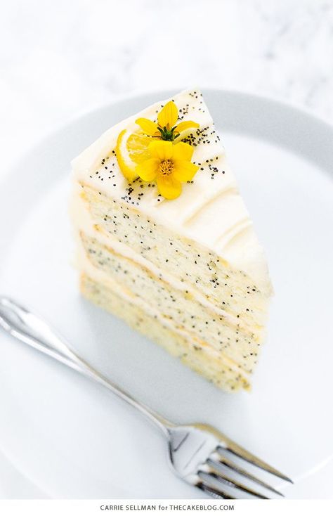 Lemon Poppy Seed Cake | by Carrie Sellman for TheCakeBlog.com #cake #lemon #easter #easterdinnerideas Lemon Poppy Seed Cake, Poppyseed Cake, Lemon Poppyseed Cake, Lemon Cream Cheese Frosting, Cake Lemon, Seed Cake, Poppy Seed Cake, Layer Cake Recipes, Lemon Poppy Seed