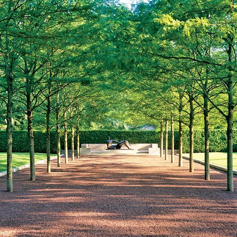 Dan Kiley's allee at the Miller House and Garden in Columbus, Indiana, made Architectural Digest's list of the world's best. Honey Locust Tree, House Garden Landscape, Miller House, Columbus Indiana, Shade Tolerant Plants, Honey Locust, Miller Homes, Modern Landscape Design, Longwood Gardens