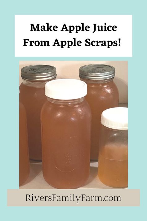 Make your own apple juice from apple scraps and apple cores! Drinks, healthy, tutorial, DIY, homestead, farm Apple Scraps, Homemade Apple Juice, Healthy Gut Recipes, Freezing Vegetables, Drinks Healthy, Good Gut Bacteria, Preserving Herbs, Storing Vegetables, Homestead Farm