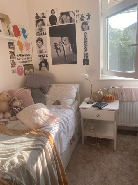 Harry Styles Coded Bedroom, Harry Coded Room Decor, Harry Styles Coded Room, Harry Coded Room, Harrycore Room, Harry Styles Bedroom, Harry Styles Room Decor, Fangirl Bedroom, Harry Styles Room