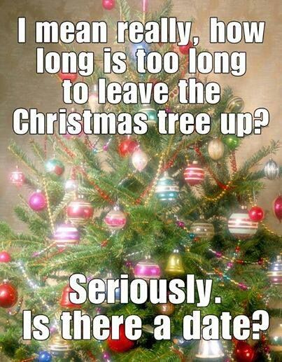 Quotes About Christmas, Merry Christmas Quotes Funny, Funny Christmas Puns, Day After Christmas, Parents Christmas, Christmas Memes, Christmas Jokes, Christmas Post, Christmas Wonderland