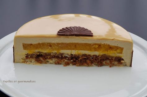 Entremet Dulcey & mangue /passion Professional Cake Recipe, Rum Cake Recipe From Scratch, Dirt Cake Recipes, Pumpkin Dump Cake Recipe, Praline Cake, Rum Cake Recipe, Dirt Cake, Coconut Cake Recipe, Cakes And Desserts