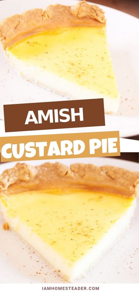 Pantry Dessert Ideas, Amish Custard, Best Amish Recipes, Pennsylvania Dutch Recipes, Easy Custard, Custard Pie Recipe, Mennonite Recipes, Dreamy Desserts, Baked Breads