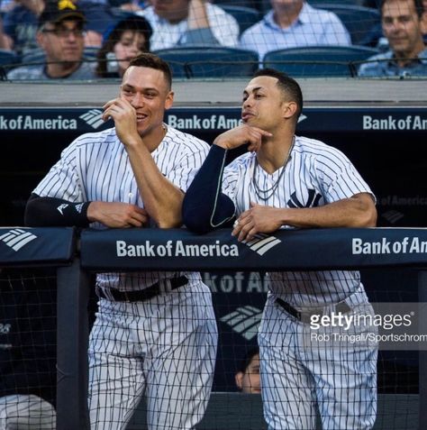 Judge Wallpaper, Baseball Match, Mlb Yankees, Go Yankees, Baseball Tips, Baseball Ticket, Giancarlo Stanton, Damn Yankees, High School Baseball