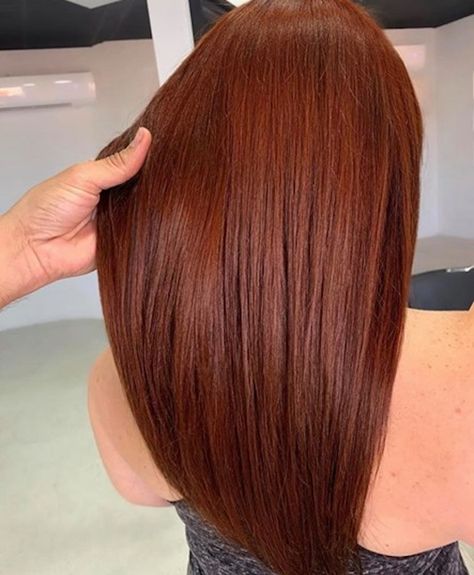 The Absolute Best Brown Hair Colors To Try in Winter 2020 Light Red Brown Hair Color Auburn, Reddish Copper Hair, Brown Red Copper Hair Color, Redish Brown Hair, Reddish Brown Hair Color, Auburn Red Hair, Copper Brown Hair, Red Balayage Hair, Copper Red Hair