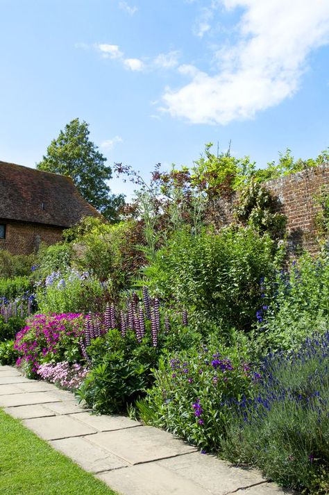 Perennial growing height is important. Taller plants for the back of the border include Lillies, Acanthus, Delphiniums, Lavatera (Tree Mallow), Echinops (Globe Thistle) and Red Hot Pokers. Hollyhocks and Foxgloves give a real cottage garden look to your borders. Perennial Flower Garden, Flower Garden Borders, Cottage Garden Borders, Garden Flowers Perennials, Perennial Flower, Garden Border, Front Courtyard, Perennial Border, Potager Garden