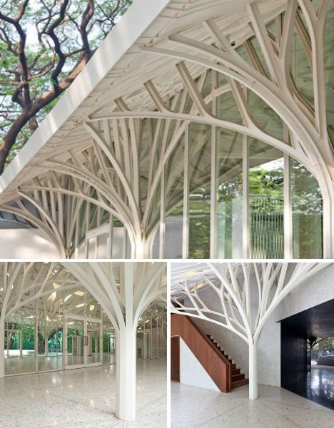 This banqueting hall in Mumbai, India looks almost elvish with its white branches, which give the impression of an avenue of snow-covered trees. The design, which was part of a renovation of historic colonial buildings in India, was partially inspired by the beautiful ‘rain trees’ that surround the site. Tree Structure, White Branches, Column Design, Organic Architecture, Structure Architecture, Banquet Hall, Architectural Inspiration, Beautiful Architecture, Tree Designs