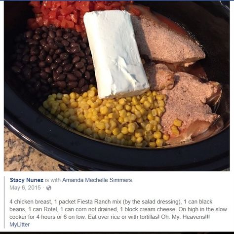 If you can't find the Hidden Valley Fiesta Ranch dip mix, you can substitute 1/2 pkg. taco seasoning mix and 1/2 pkg. Hidden Valley Ranch dip mix. Crockpot Recipe Chicken, Fiesta Chicken Crockpot Recipe, Fiesta Chicken Crockpot, Cream Cheese Chicken Chili, Chicken Crockpot Recipes Healthy, Fiesta Chicken, Chicken Crockpot Recipes Easy, Crockpot Recipe, Ranch Dip