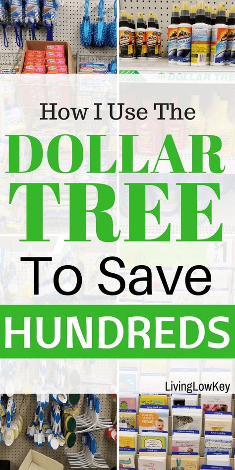 Life changing finds you should be buying at your nearest dollar tree store to save money! The dollar tree has a little something for everyone. If you love to do crafts and DIY projects you’re going to love this place. This store has helped me hack my life and my organization skills. #dollartree #dollarstore #savemoney Dollar Tree Hacks, Dollar Store Hacks, Organizing Hacks, Dollar Store Organizing, Best Money Saving Tips, Cheap Crafts, Budget Planer, Dollar Tree Store, Saving Ideas