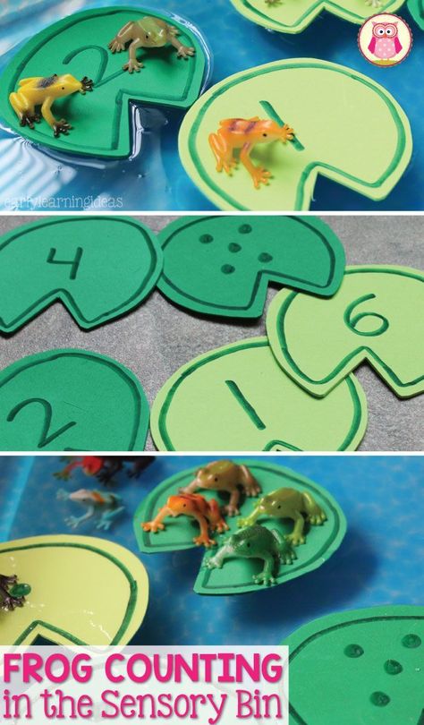 Frog counting activity- Make numbered lily pads and use them, along with small toy frogs, in a sensory bin, water table, or large container filled with water. The article includes directions for making the lily pads. a printable pattern that you can download, and several frog themed math activities that are appropriate for preschool, pre-k, kindergarten, prep, aged children. Pond Life Theme, Frog Activities, Kindergarten Prep, Counting Activity, Frog Theme, Toys By Age, Spring Preschool, Water Table, Counting Activities