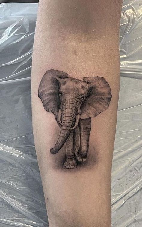 Traditional Tattoo Elephant, Elephant Memorial Tattoo, Arm Elephant Tattoo, Tattoos Elephant, Elephant Tattoo Meaning, Arm Tattoos For Guys Forearm, Basic Tattoos, Detailed Tattoo, Cute Small Tattoos