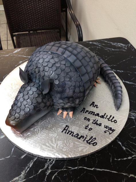 3D Armadillo Armadillo Cake, 3d Cakes, Cookie Ideas, Gum Paste, Prom, Candy, Cake, Sugar Paste