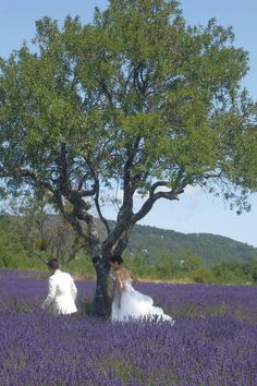 Wedding In Lavender Field, Lavender Field Wedding Ceremony, Lavender Fields Wedding, Wedding Venues Field, Lavender Western Wedding, Wedding Venues France, Wedding In Provence, Provence Wedding Theme, Provence France Wedding