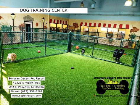 Dog Training Center, Dog Training Facility Ideas, Dog Playroom, Dog Facility, Dog Training Facility, Dog Boarding Ideas, Dog Daycare Business, Pet Daycare, Daycare Facility