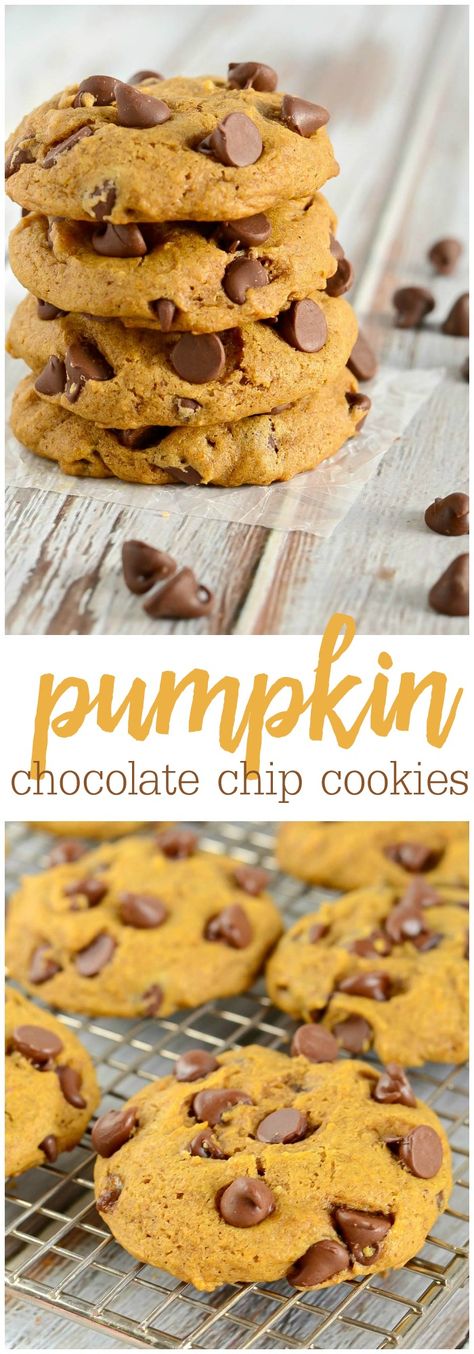 These Pumpkin Chocolate Chip Cookies are SO soft and fluffy, they're almost like a cake. Filled with pumpkin flavor, and chocolate chips, these cookies have just the right amount of seasonal spices. This Pumpkin Chocolate Chip Cookie recipe is sure to become a fall staple in your home. Pumpkin Chocolate Chip Cookies Recipe, Soft Pumpkin Chocolate Chip Cookies, Chewy Chocolate Chip Granola Bars, Chocolate Chip Granola Bars, Resepi Biskut, Diy Easy Recipes, Chocolate Chip Cookies Recipe, Pumpkin Chocolate Chip Cookies, Pumpkin Chocolate Chip