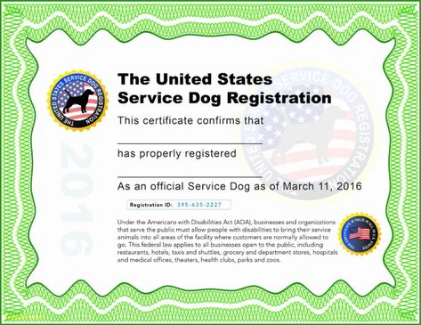 Dog Certificate, Dog Template, Training Certificate, Service Dog Training, Microsoft Office Word, Office Word, Printable Certificates, Card Templates Free, Gift Certificate Template