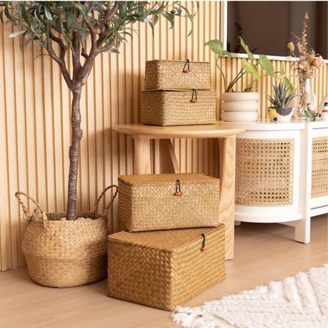 4 Pack, Wicker Baskets with Lids, … curated on LTK Basket Bins, Baskets With Lids, Wicker Basket With Lid, Furniture Box, Seagrass Storage Baskets, Storage Baskets With Lids, Rattan Storage, Rectangular Baskets, Wicker Storage