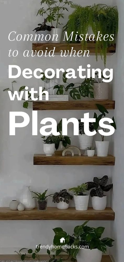 How to Avoid Common Mistakes When Decorating with Plants - How To Use Plants As Decor, Decorating With Plants, Style Plants, Plant Pests, Macrame Plant Holder, Plant Decor Indoor, Plant Health, Hanging Macrame, Plant Lighting