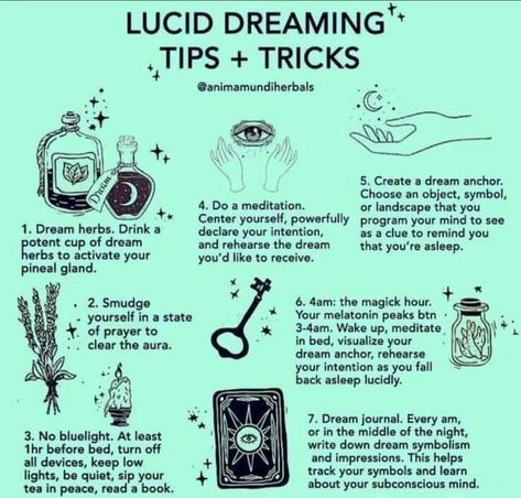 Lucid Dreaming Tips, Mountain Witch, Clairvoyant Psychic Abilities, Dream Herbs, Psychic Development Learning, Easy Love Spells, Setting Intentions, Witch Spirituality, Lucid Dream