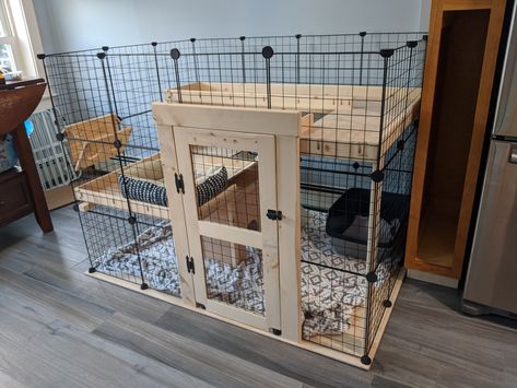 C&c Bunny Cage, Large Indoor Rabbit Enclosure, Bunny Setup Ideas, Indoor Bunny Setup, Indoor Rabbit Setup, Free Roam Bunny Set Up, Bunny Condo, Bunny Setup, Diy Bunny Cage