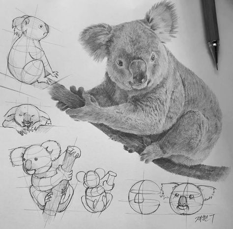 Koala Drawing, Pencil Tutorial, Brain Drawing, Woodturning Ideas, Structural Drawing, Fantasy Drawings, Australian Wildlife, Animal Sketches, Realistic Art