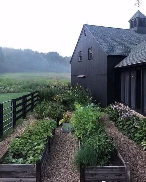 Black Barn, Pea Gravel, Farmhouse Remodel, Garden Types, Have Inspiration, Outdoor Inspirations, Plants And Flowers, Garden Bed, Veggie Garden