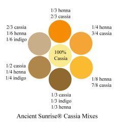 Henna Mixes: Henna, Indigo, Cassia and Fruit Juices Jahodová Blond, Blonde Henna, Balayage Red, Henna Recipe, Balayage Straight, Copper Ombre, Lux Hair, Henna Hair Color, Wine Hair