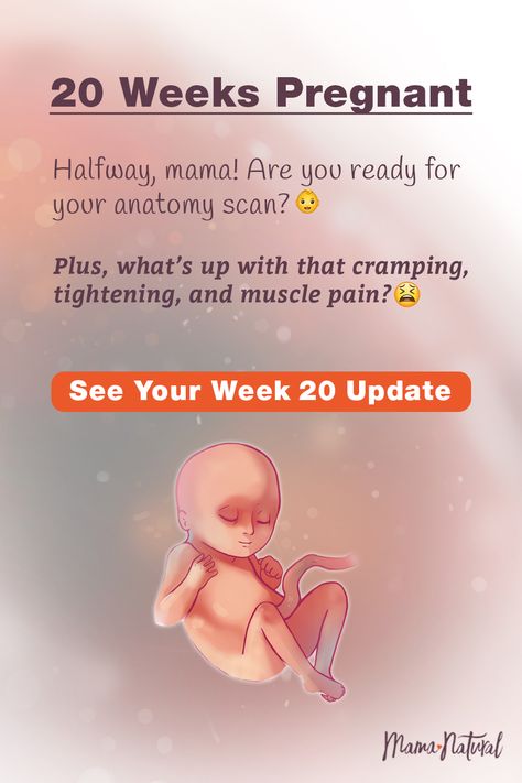 Pregnancy 20 Weeks, 20weeks Pregnant, 20 Week Pregnancy Photos, 20 Week Pregnancy, Second Trimester Pregnancy, Pregnant Symptoms, Baby Development Chart, 9 Weeks Pregnant, 21 Weeks Pregnant