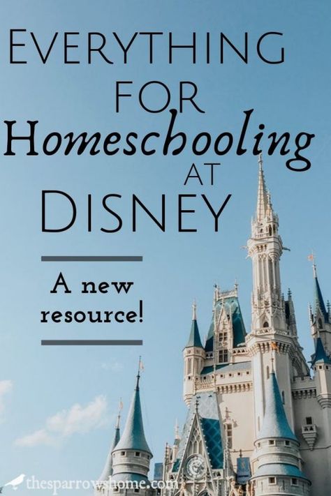 Homeschool At Disney World, Florida Homeschool, Homeschool Travel, Homeschool Tools, Homeschool Units, Summer Themes, Homeschool Field Trips, Disney Classroom, Country Studies