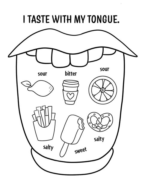 Sense of Taste Worksheets for Preschool! ⋆ The Hollydog Blog 5 Senses Craft, 5 Senses Preschool, 5 Senses Worksheet, Five Senses Worksheet, Five Senses Preschool, Taste Sense, 5 Senses Activities, Body Preschool, Senses Preschool