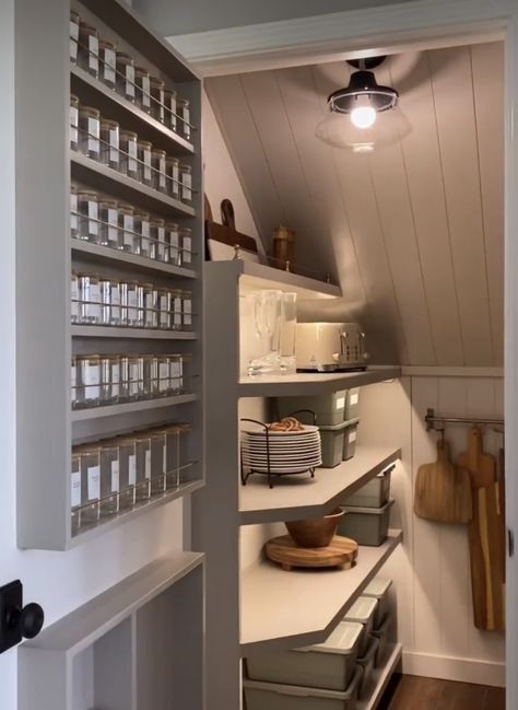 Under The Stairs Pantry Ideas Food Storage, Narrow Under Stairs Pantry, Under Staircase Pantry Ideas, Small Pantry Ideas Under Stairs, Under Stair Butler Pantry, Over Stairs Cupboard, Understair Pantry Ideas, Under Stairs Cleaning Closet, Spandrel Ideas