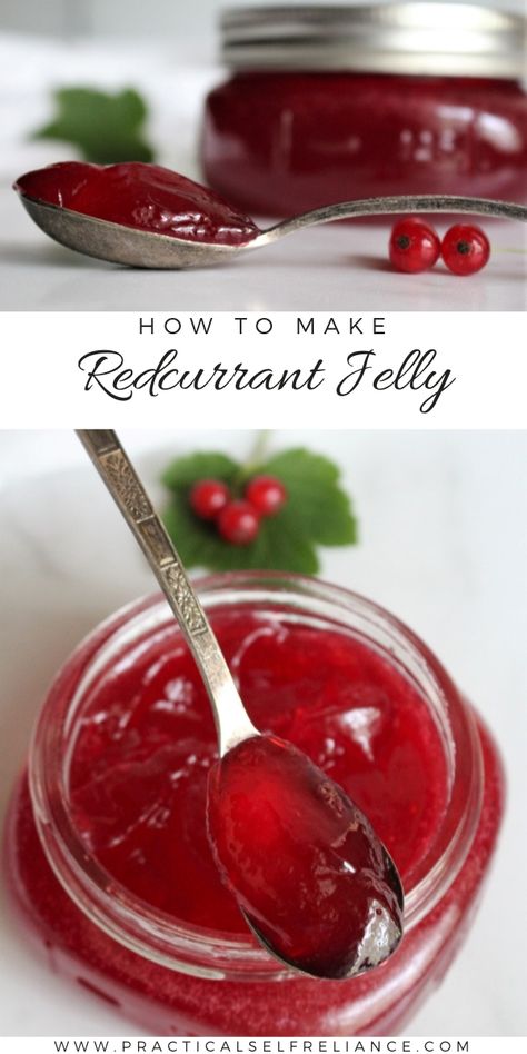 Red Currant Recipes, Currant Jelly Recipe, Jelly Recipes For Canning, Red Currant Jelly Recipe, Red Currant Recipe, Red Currant Jelly, Canning Fruit Recipes, Recipes For Canning, Red Currant Jam