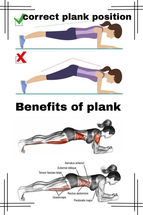 Engage your core and transform your fitness routine with the Plank Exercise! Strengthen your core muscles, improve posture, and enhance overall stability. Discover the amazing benefits of this simple yet effective workout. Get ready to rock your fitness goals! #PlankExercise #CoreStrength #FitnessGoals Benefits Of Planks For Women, Plank Workout Benefits, Plank Posture, Plank Benefits, Posture Workout, Plank Exercise, Wait Loss, Gym At Home, Posture Exercises