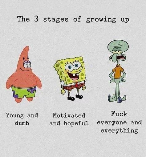 Funny Spongebob, Motivational Memes, Funny Spongebob Memes, Spongebob Funny, Spongebob Wallpaper, Spongebob Memes, Memes Funny, Best Memes, Funny Texts