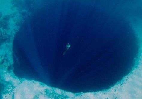 Scary Ocean, Dark Hole, Mind Blowing Pictures, Types Of Sharks, Swimming In The Ocean, Shark Swimming, Ocean Floor, Image Film, Ocean Pictures