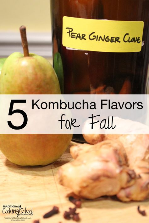 Ginger Kombucha, Fermented Drinks, Kombucha Flavors, Cultured Food, Kombucha Scoby, Crystallized Ginger, How To Brew Kombucha, Homemade Kombucha, Kombucha Recipe