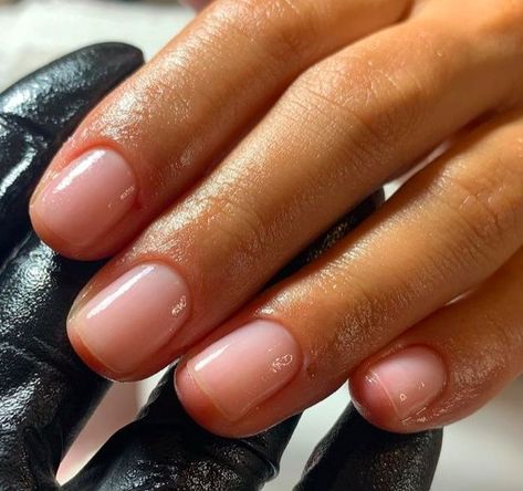 Clear Clean Nails, Jelly Gel Nail Polish, Natural Nails Manicure, Sheer Nails, Milky Nails, Transparent Nails, Nail Polish Set, Gel Nail Polish Set, Shellac Nails