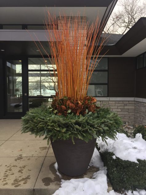 Blog | Dirt Simple winter container with flame willow Flame Willow, Xmas Pots, Yellow Twig Dogwood, Container Arrangements, Winter Yard, Winter Pots, Winter Containers, Winter Planters, Red Twig Dogwood