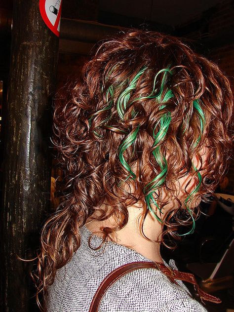 curly, green highlights ~ I love her curls & cut (except the back long pieces & I'm not brave enough for the green highlights ~ pretty on her though :) Dyed Highlights Curly Hair, Red Hair Green Highlights, Ginger Hair With Green Highlights, Colourful Curly Hair, Red Hair Ends, Green Curly Hair, Green Hair Streaks, Red And Green Hair, Dark Curly Hair