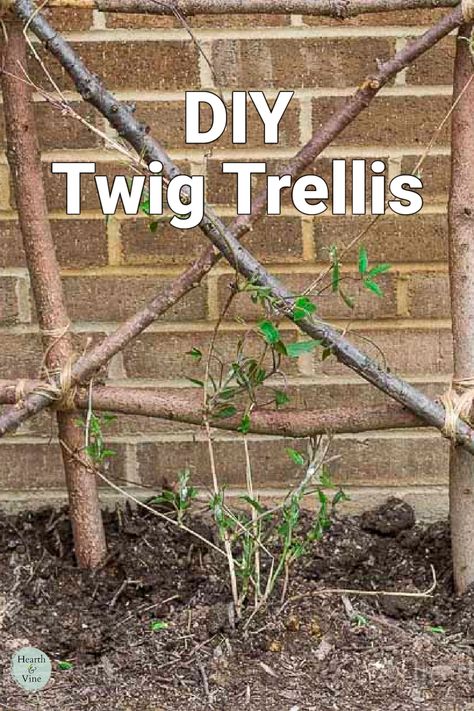 Branches and twigs tied with twine to create a trellis. Twig Trellis, Preparing Garden Beds, Garden Upcycle, Making Raised Garden Beds, Teepee Trellis, Vine Trellis, Diy Garden Trellis, Backyard Kids Play Area, Medicinal Herbs Garden