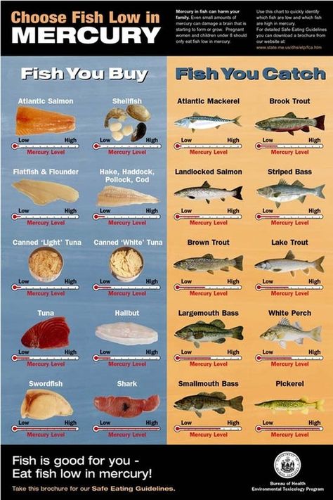 Pescatarian Lifestyle, Low Mercury Fish, Pescatarian Diet, Seafood Shop, Sustainable Seafood, Buy Fish, Types Of Fish, Food Info, Survival Food