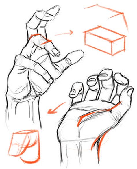 Constructing the hand from basic forms and following the primary - secondary - tertiary hierarchy resolves many other issues. It helps to draw the hand accurately from imagination, attach the fingers correctly to the palm, keep things in perspective, and even helps to shade. I’ll also show you how a focus on structure doesn’t mean you have to sacrifice gesture. - proko.com/227 Draw Hands, Human Anatomy Drawing, Hand Drawing Reference, Human Drawing, Anatomy Sketches, Body Reference Drawing, Anatomy For Artists, Gesture Drawing, Anatomy Drawing