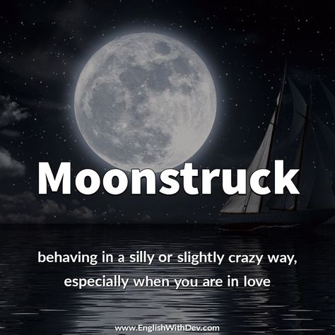 Moonstruck Advance Vocabulary, Study English Grammar, Commonly Confused Words, Beautiful Words In English, Advanced Vocabulary, Words To Describe Someone, Old English Words, Advanced English Vocabulary, English Grammar Book