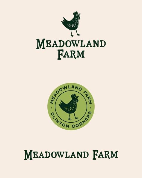 Farm Branding + Logo Suite - Quirky, Handdrawn Logo Design melogo #logosai #logoarchive #logodesinger🌈 Country Logo Design Ideas, Farmhouse Graphic Design, Eco Branding Design, Farm Logo Ideas, Farm Graphic Design, Illustrative Branding, Farm Logo Inspiration, Flying Hawk, Farm Branding