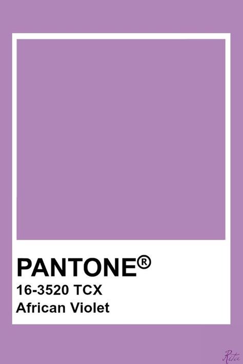 African Violet African Color Palette, Pantone Violet, Color Palette Purple, Pantone Tcx, Pantone Color Chart, Pantone Swatches, Pantone Palette, Violet Aesthetic, Pantone Colour Palettes