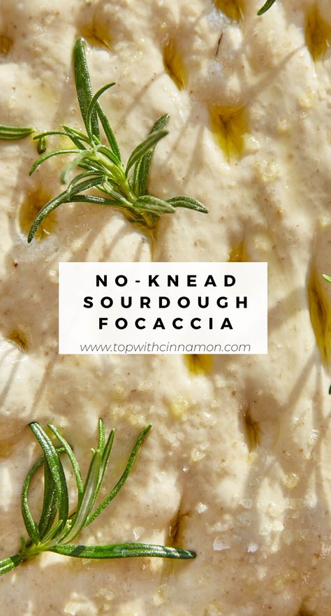 Whole Wheat Focaccia, Cupboard Recipes, Sourdough Tips, Sourdough Focaccia Recipe, Cooking Therapy, Healthy Starters, Sourdough Breads, Sourdough Focaccia, Simple Sourdough