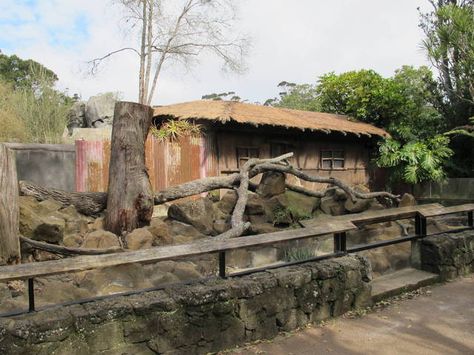 Zoo Decor, African Hut, Perspective Room, Zoo Boo, Playgrounds Architecture, Zoo Project, Zoo Architecture, In The Zoo, Entrance Design