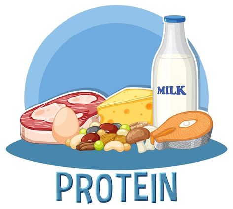 Free vector varieties of protein food wi... | Free Vector #Freepik #freevector #cartoon-svg #svg #cartoon-drawing #chicken-drawing Protein Calculator, Lentils And Quinoa, 30 Grams Of Protein, Protein To Build Muscle, Casein Protein, Protein Food, Bone Strength, Muscle Protein, Healthy Digestive System