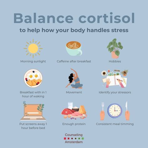 But Health, Regulate Cortisol Levels, Balance Cortisol Levels, How To Balance Cortisol Levels, Getting Healthier, Lowering Cortisol Levels, Cortisol Foods, Wasp Trap Diy, Balancing Cortisol