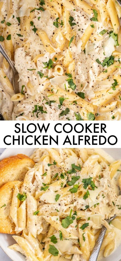 Slow Cooker Chicken Alfredo, Best Crockpot Chicken, Crockpot Chicken Alfredo, Crockpot Pasta Recipes, Crockpot Pasta, Best Crockpot, Chicken Crockpot Recipes Easy, Easy Crockpot Dinners, Chicken Alfredo Recipes